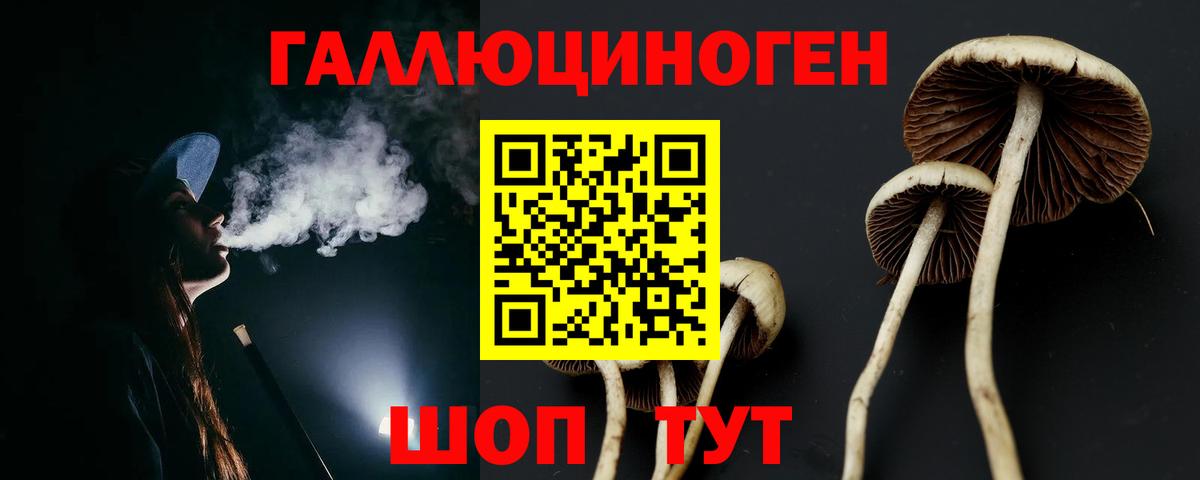 Нарьян-Мар  Псилоцибиновые грибы мицелий  Вход с VPN 